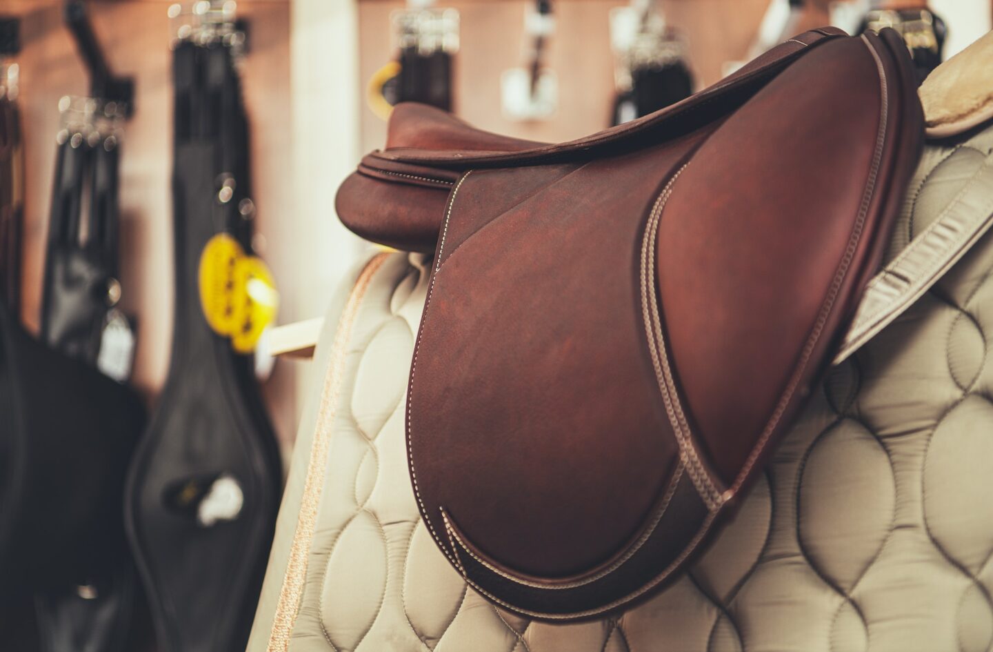 Horse Saddle Equestrian Retail Store Product